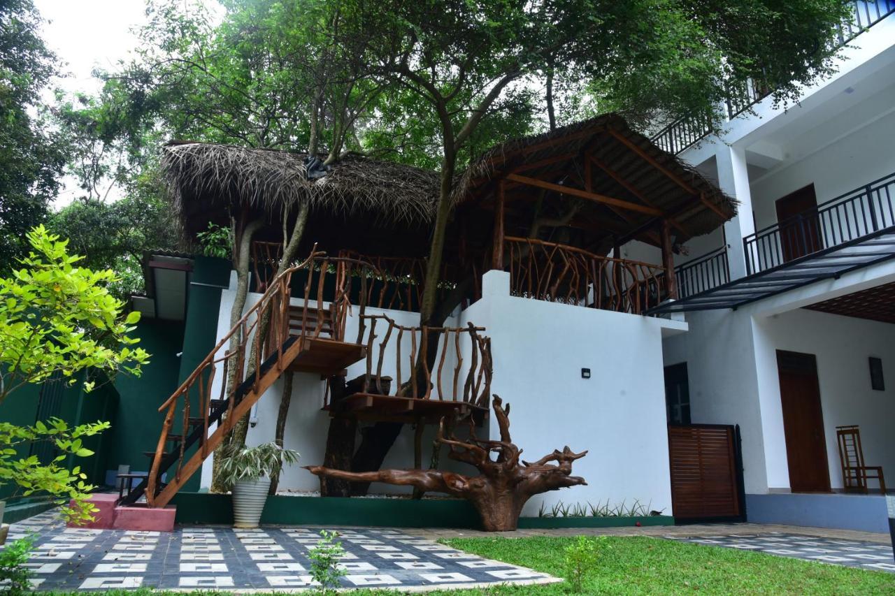 Eden Grand Hotel Dambulla Eksteriør billede