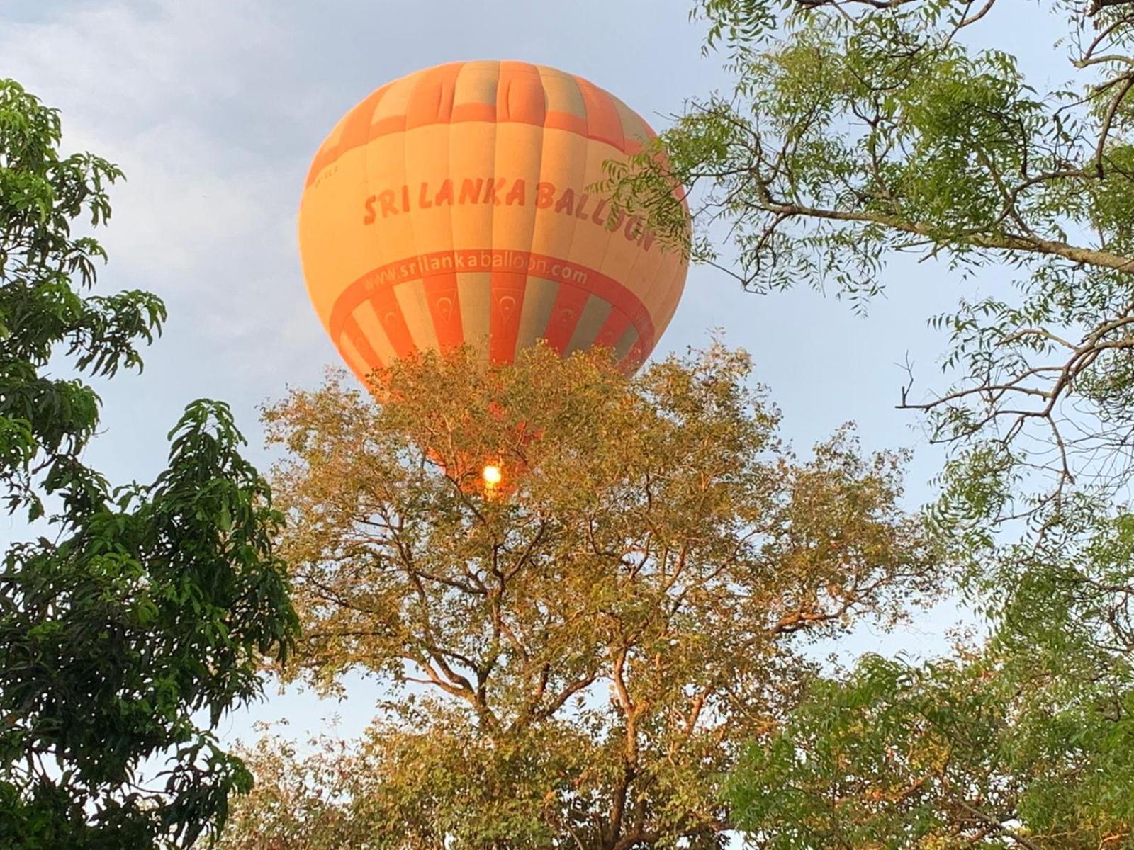 Eden Grand Hotel Dambulla Eksteriør billede